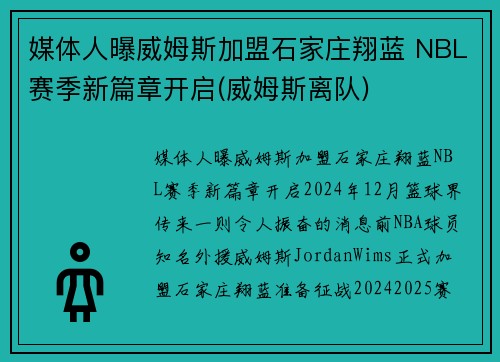 媒体人曝威姆斯加盟石家庄翔蓝 NBL赛季新篇章开启(威姆斯离队)