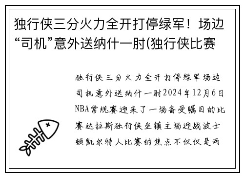 独行侠三分火力全开打停绿军！场边“司机”意外送纳什一肘(独行侠比赛视频)